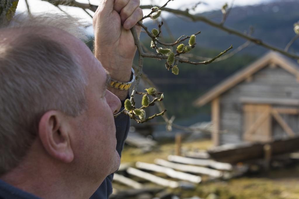 Hotel Valsoya Valsøyfjord Zewnętrze zdjęcie